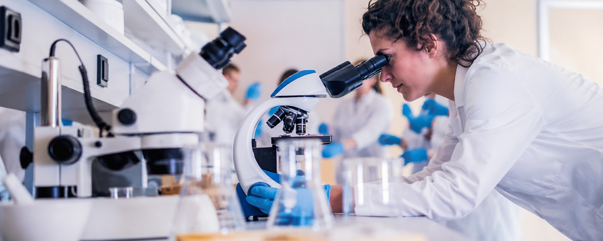 Laboratory research — Gelatine Sculpt formula